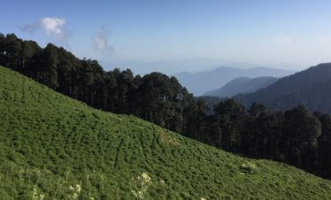 Glory of  Shimla and Manali